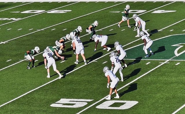 引发球迷的 引发球迷的