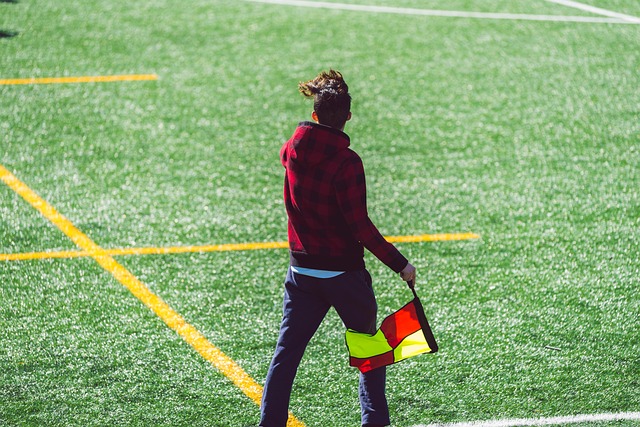 的青训系统 的青训系统